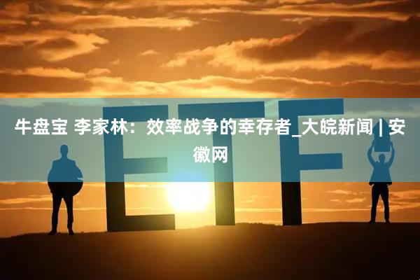 牛盘宝 李家林：效率战争的幸存者_大皖新闻 | 安徽网