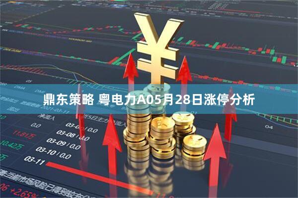 鼎东策略 粤电力A05月28日涨停分析