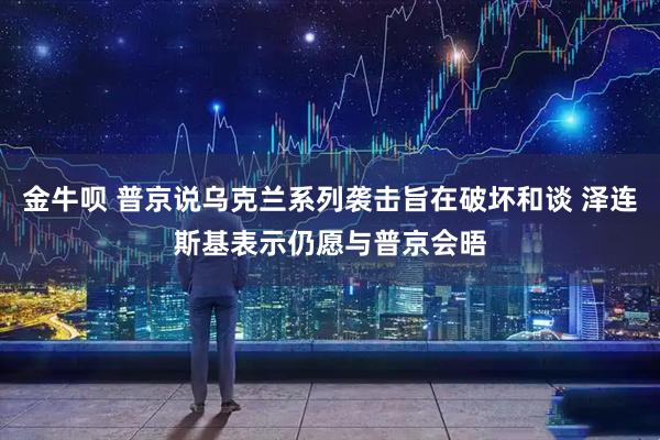 金牛呗 普京说乌克兰系列袭击旨在破坏和谈 泽连斯基表示仍愿与普京会晤