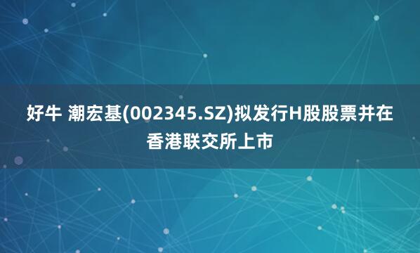 好牛 潮宏基(002345.SZ)拟发行H股股票并在香港联交所上市