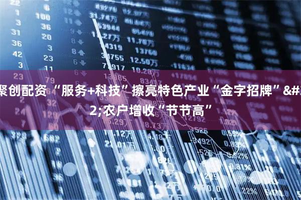 聚创配资 “服务+科技”擦亮特色产业“金字招牌”&#32;农户增收“节节高”